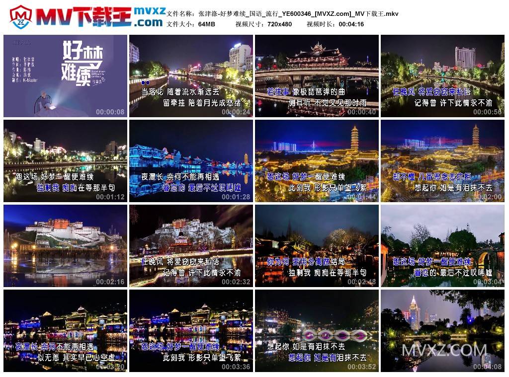 张津涤-好梦难续_国语_流行_YE600346